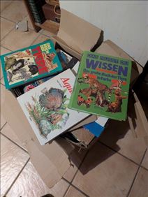 Abbildung: Gebrauchte Bücher 