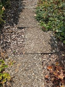 Abbildung: 19 Waschbetonplatten 